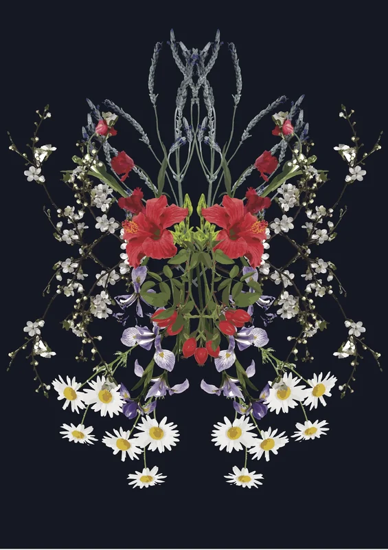 A mirrored arrangement of pressed flowers on deep navy