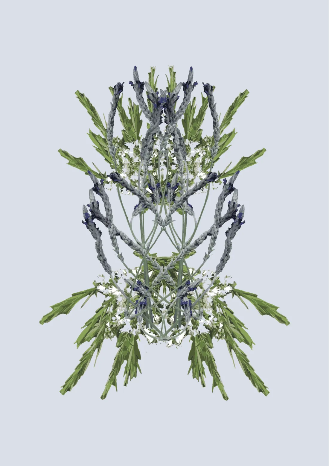 Blooming: mirrored lavender on pale blue